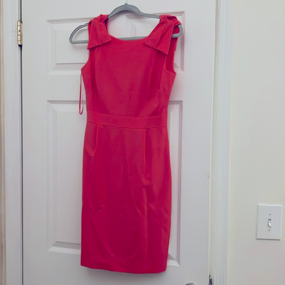 Pink Jcrew dress